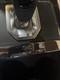 Evoque L551 Gear Selector MX73-7E453-AF 2019 2024 29/4/24 C2A5