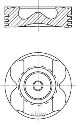 Piston fits DISCOVERY IV, RANGE ROVER SPORT I PEUGEOT 407, 607 2.7D 07.04