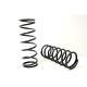 Terrafirma +2 Front Springs Defender Discovery & Range Rover Light Load TF014