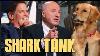 These Ruff Liners Made The Sharks Sit U0026 Stay Shark Tank Us Shark Tank Global